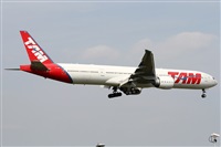 Alfonso Sols - Asociacin Canary Islands Spotting. Haz click para ampliar