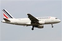 ©Alfonso Solís - Asociación Canary Islands Spotting. Click to see full size photo ©Alfonso Solís - Asociación Canary Islands Spotting. Click to see full size photo