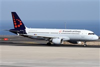©Alfonso Solís - Asociación Canary Islands Spotting. Click to see full size photo ©Alfonso Solís - Asociación Canary Islands Spotting. Click to see full size photo