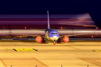 Miguel A. gueda Rguez.  (CANARY ISLANDS SPOTTING). Click to see full size photo