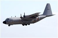 Adrin Alonso Lemes - Lanzarote Spotters. Click to see full size photo