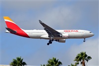 Miguel A. gueda Rguez.  (CANARY ISLANDS SPOTTING). Haz click para ampliar