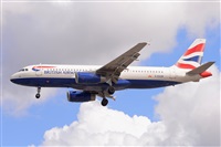 Miguel A. gueda Rguez.  (CANARY ISLANDS SPOTTING). Haz click para ampliar