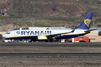 ©Alfonso Solís - Asociación Canary Islands Spotting. Click to see full size photo ©Alfonso Solís - Asociación Canary Islands Spotting. Click to see full size photo