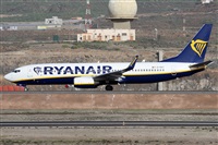 Alfonso Sols - Asociacin Canary Islands Spotting. Click to see full size photo
