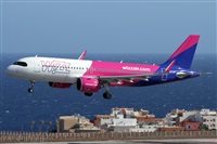 Alfonso Sols - Asociacin Canary Islands Spotting. Haz click para ampliar