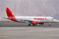 Miguel A. gueda Rguez.  (CANARY ISLANDS SPOTTING). Haz click para ampliar