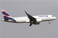 La Roche Spotters. Click to see full size photo