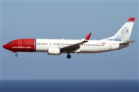 Alfonso Sols - Asociacin Canary Islands Spotting. Click to see full size photo