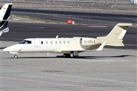 Alfonso Sols - Asociacin Canary Islands Spotting. Click to see full size photo