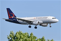 Miguel A. gueda Rguez.  (CANARY ISLANDS SPOTTING). Click to see full size photo
