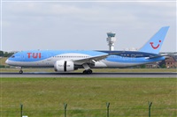 Miguel A. gueda Rguez.  (CANARY ISLANDS SPOTTING). Haz click para ampliar
