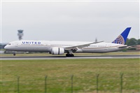 Miguel A. gueda Rguez.  (CANARY ISLANDS SPOTTING). Click to see full size photo