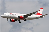 Alfonso Sols - Asociacin Canary Islands Spotting. Haz click para ampliar