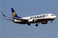 Alfonso Sols - Asociacin Canary Islands Spotting. Haz click para ampliar