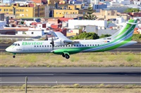 Miguel A. gueda Rguez.  (CANARY ISLANDS SPOTTING). Click to see full size photo