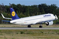 Miguel A. gueda Rguez.  (CANARY ISLANDS SPOTTING). Click to see full size photo