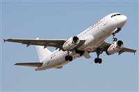 ©Alfonso Solís - Asociación Canary Islands Spotting. Click to see full size photo ©Alfonso Solís - Asociación Canary Islands Spotting. Click to see full size photo