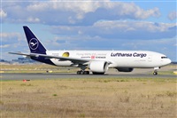 Miguel A. gueda Rguez.  (CANARY ISLANDS SPOTTING). Click to see full size photo