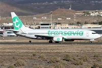 Alfonso Sols - Asociacin Canary Islands Spotting. Click to see full size photo