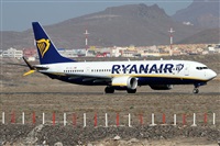 Alfonso Sols - Asociacin Canary Islands Spotting. Haz click para ampliar