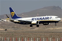 Alfonso Sols - Asociacin Canary Islands Spotting. Haz click para ampliar