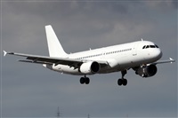 Alfonso Sols - Asociacin Canary Islands Spotting. Haz click para ampliar