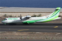 ©Alfonso Solís - Asociación Canary Islands Spotting. Click to see full size photo ©Alfonso Solís - Asociación Canary Islands Spotting. Click to see full size photo