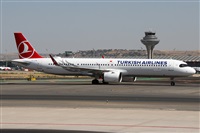©Alfonso Solís - Asociación Canary Islands Spotting. Click to see full size photo ©Alfonso Solís - Asociación Canary Islands Spotting. Click to see full size photo