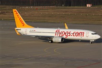 Daniel Schwinn. Click to see full size photo