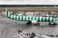 ©Román A. Pérez. Click to see full size photo ©Román A. Pérez. Click to see full size photo