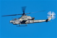 Tams. Click to see full size photo