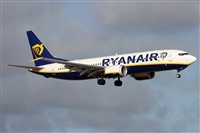 �Alfonso Sol�s - Asociaci�n Canary Islands Spotting. Click to see full size photo