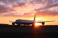 Javier de la Cruz - CANARY ISLANDS SPOTTING. Click to see full size photo