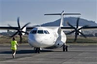Javier de la Cruz - CANARY ISLANDS SPOTTING. Click to see full size photo