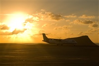 Javier de la Cruz - CANARY ISLANDS SPOTTING. Click to see full size photo