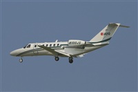 Jos Miguel Bernases - Noisy Spotters. Click to see full size photo