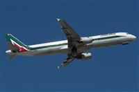 Rodrigo Carvalho - Noisy Spotters. Click to see full size photo