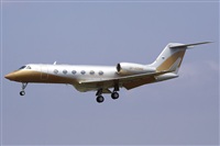 Jos Miguel Bernases - Noisy Spotters. Click to see full size photo