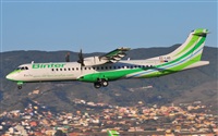 Alejandro Bethencourt (Canary Islands Spotting). Click to see full size photo