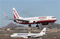 Alfonso Sols - Asociacin Canary Islands Spotting. Click to see full size photo