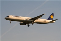 Javier de la Cruz - CANARY ISLANDS SPOTTING. Click to see full size photo