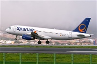 Javier de la Cruz - CANARY ISLANDS SPOTTING. Click to see full size photo