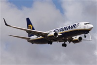 Alfonso Sols - Asociacin Canary Islands Spotting. Click to see full size photo