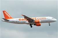 Juan Antonio Lpez Delgado, Asociacin de Spotters de Canarias (Canary Islands Spotting). Click to see full size photo