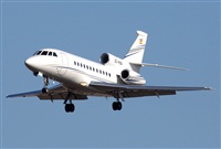 Jos Miguel Bernases - Noisy Spotters. Click to see full size photo