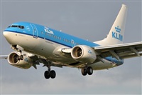Rubn Gil - Noisy Spotters. Click to see full size photo