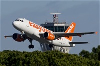 Manuel Noisy Spotters. Click to see full size photo