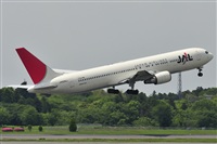 norber. Click to see full size photo