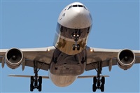 Javier de la Cruz - CANARY ISLANDS SPOTTING. Click to see full size photo